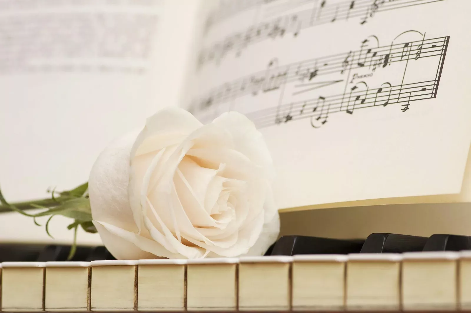 Musique : quelles chansons choisir pour un dernier hommage ?